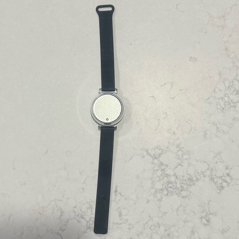 Garmin Silver and Black Watch